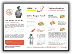 brain_flyer_rs